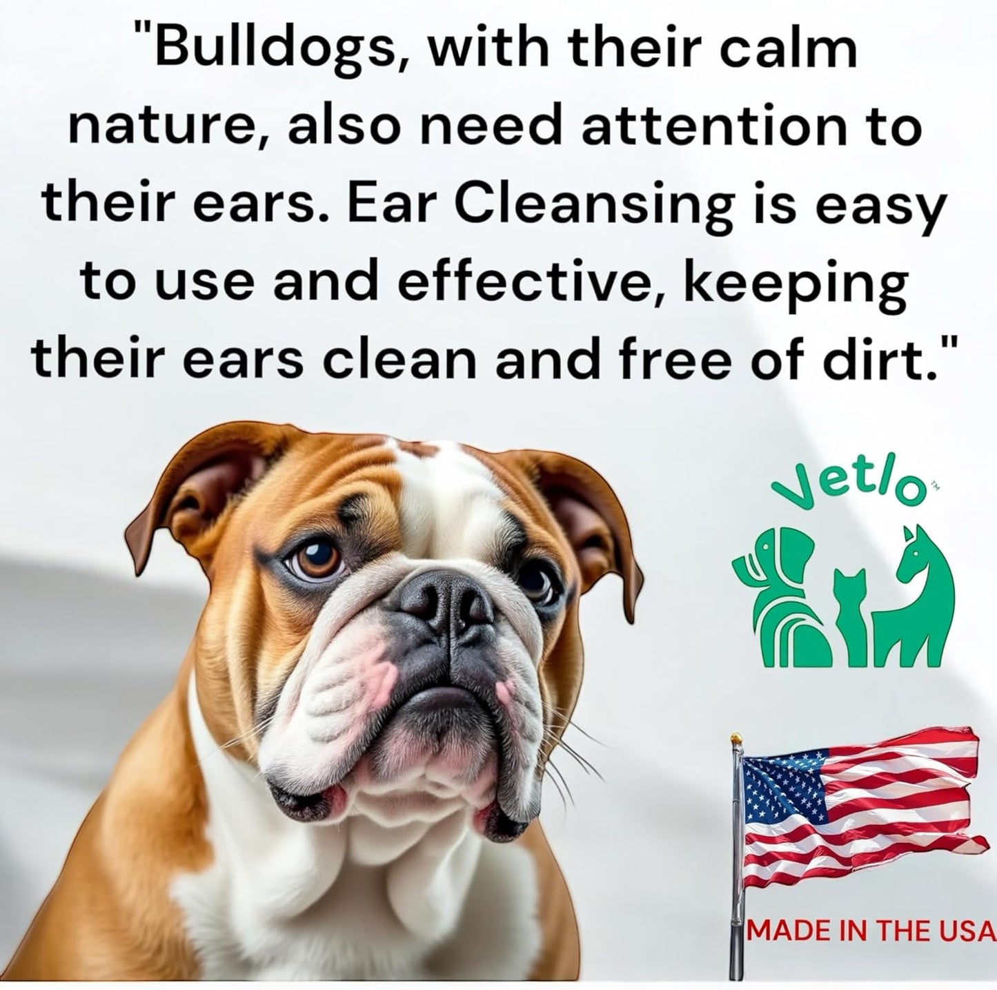 Dog Ear Cleaner Bay Vetlo